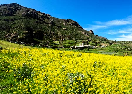 NearbyWalk_Canocota_img01