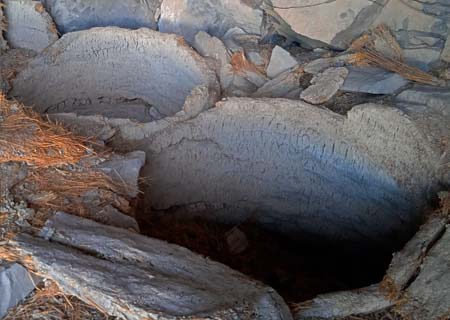 Baskets where the seeds were deposited